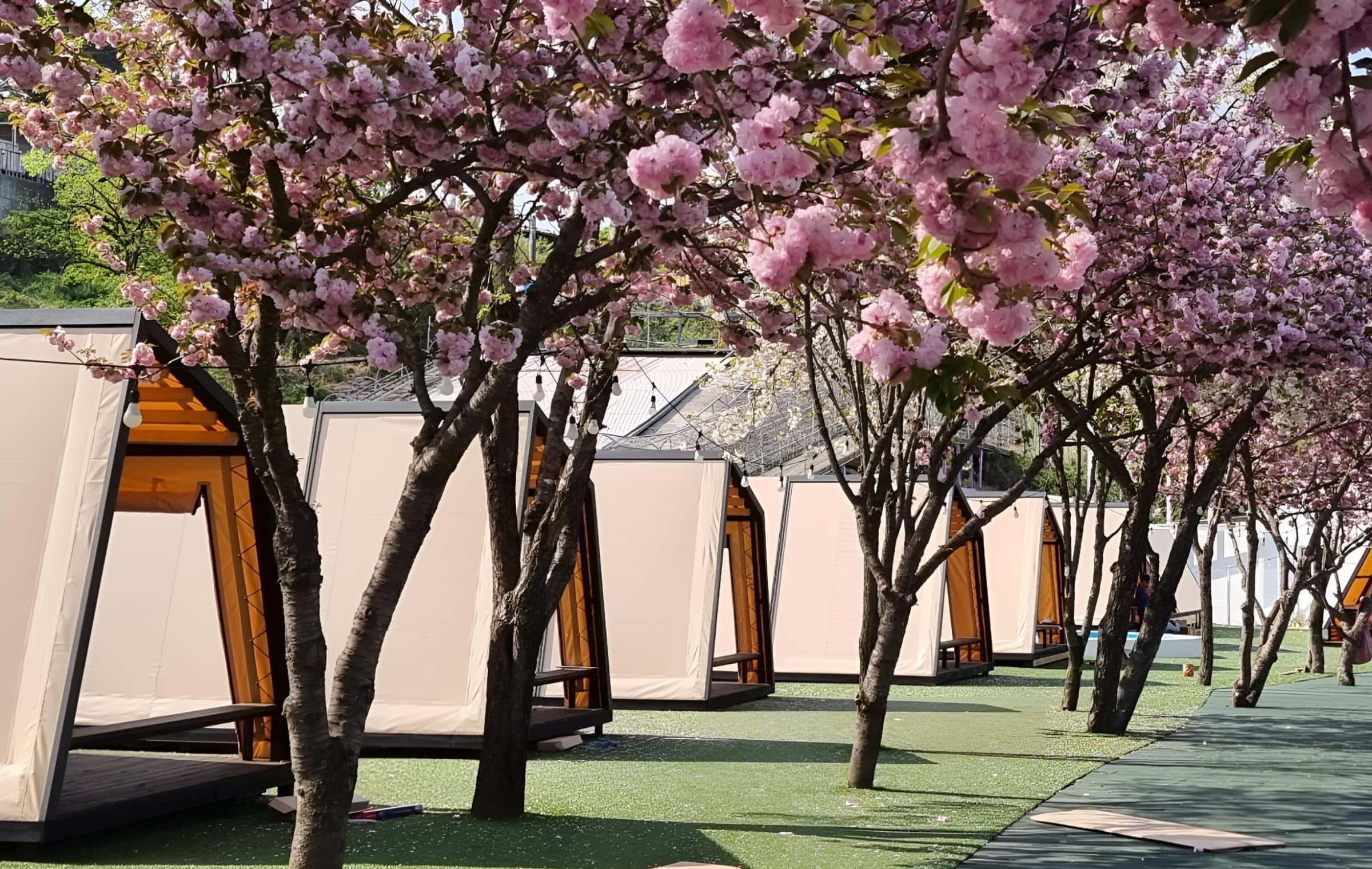 Cheongdo Provence Glamping