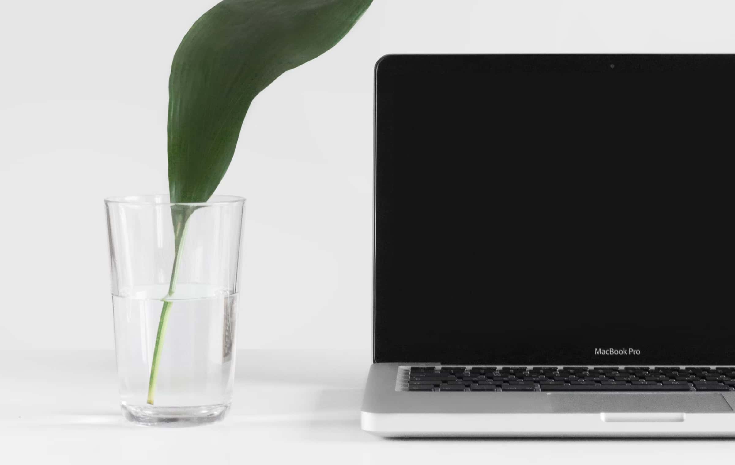 Building a Pension Homepage? Here's What Actually Matters