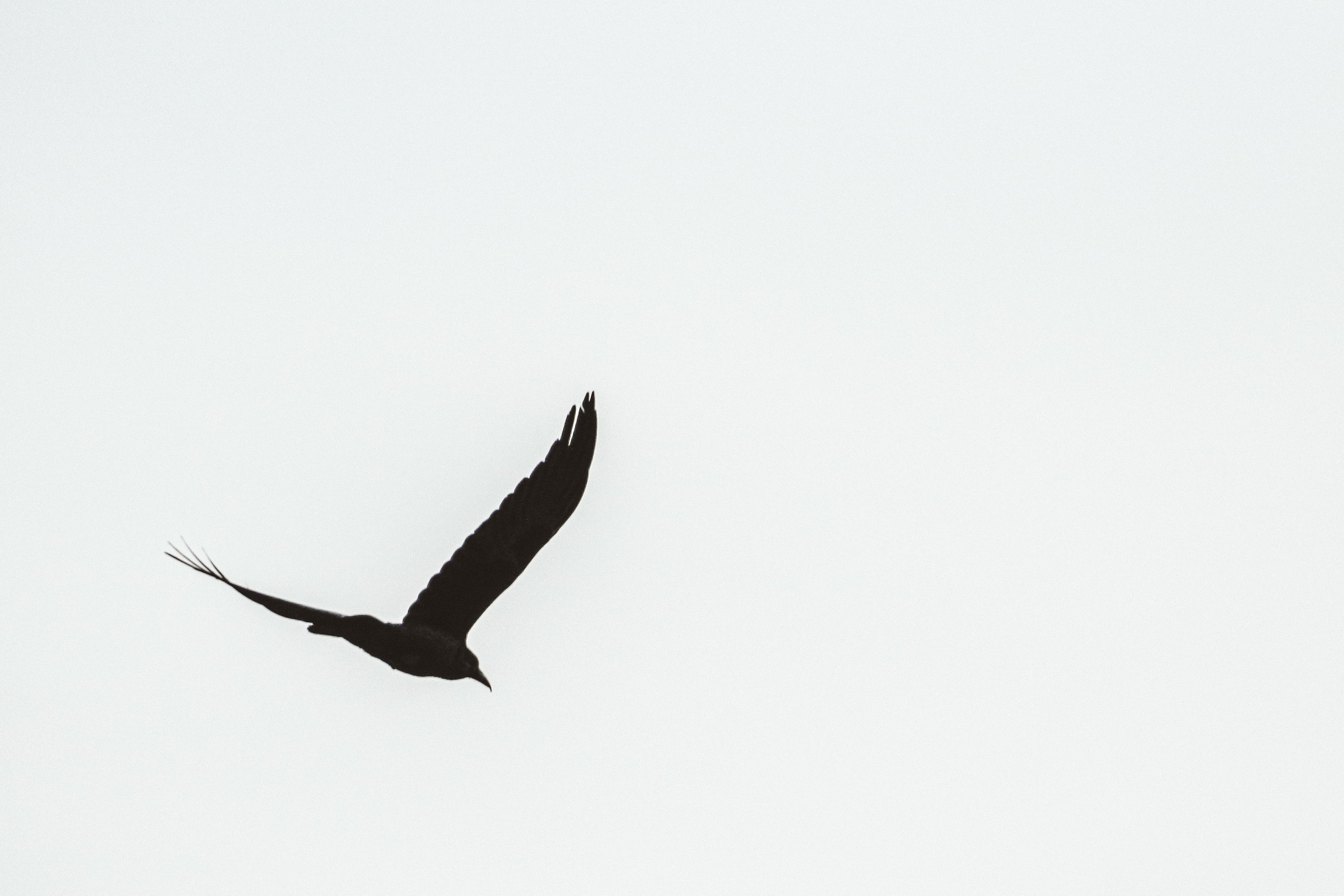 Photo by Patrick Hendry on Unsplash