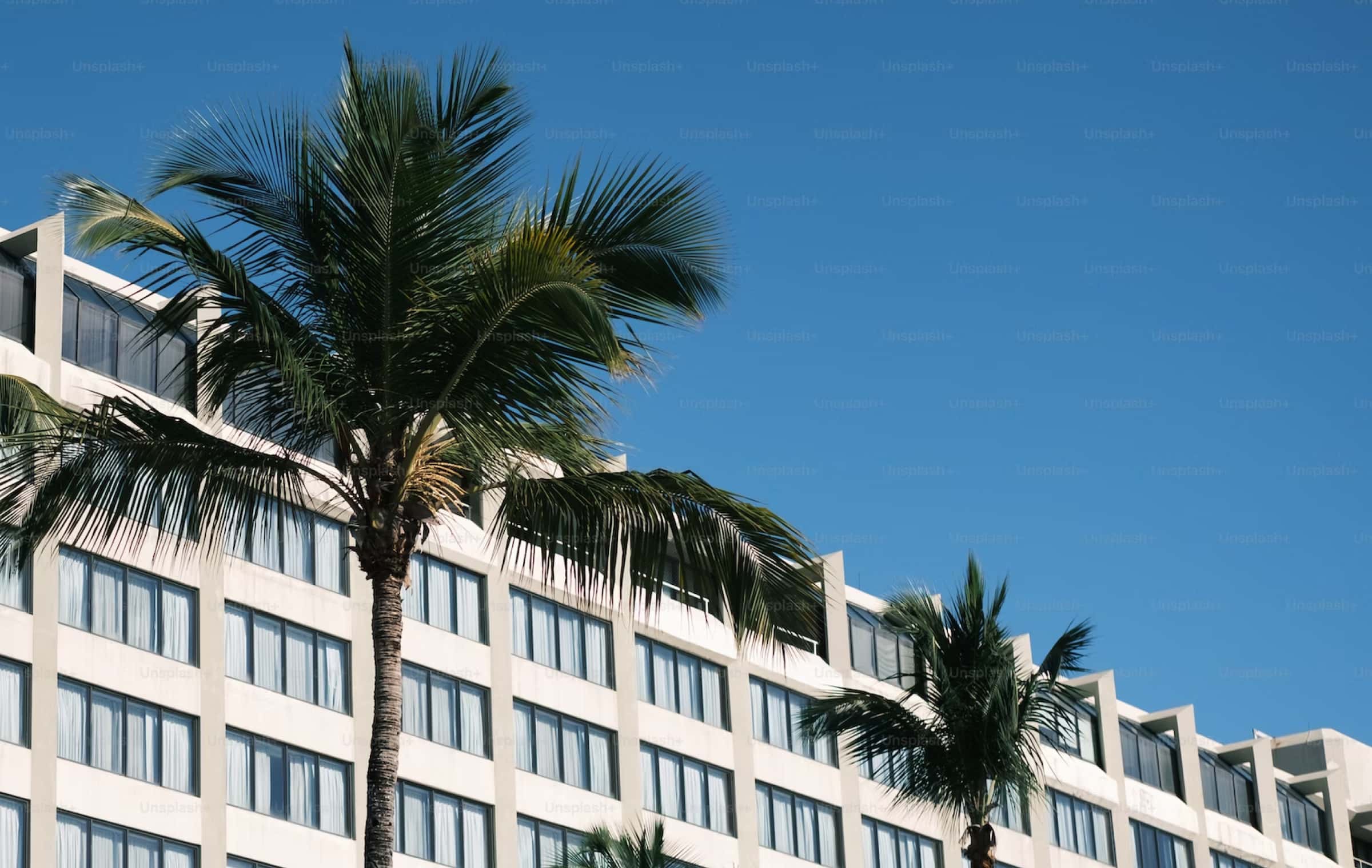 Special Series: Hotel Stories from Potluck 02