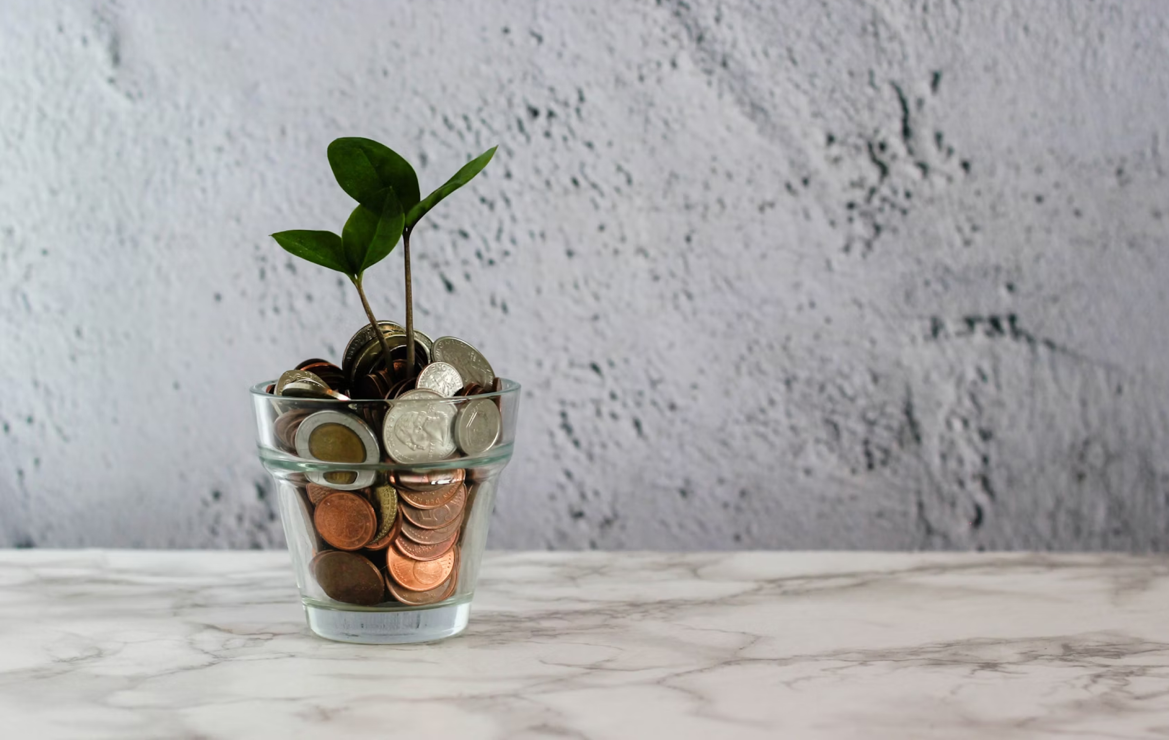 The online booking market is booming. Grow with ONDA.