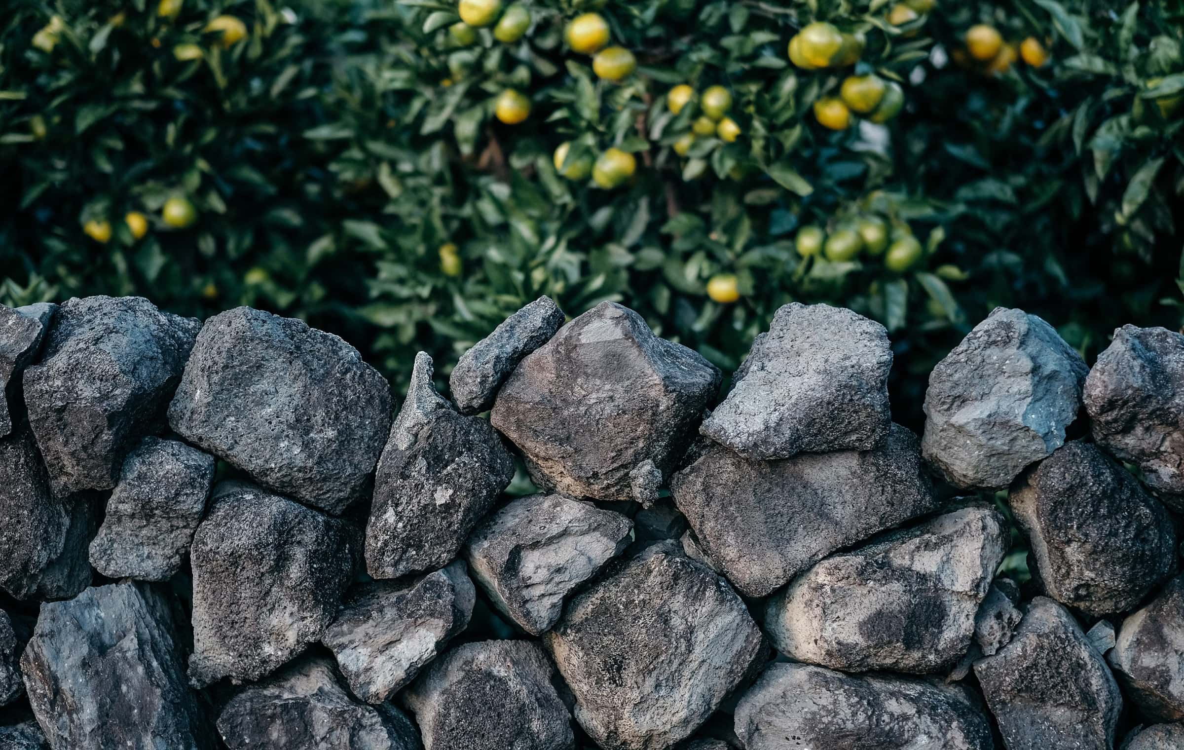 3 Reasons Jeju's Hospitality Market Is Heating Up