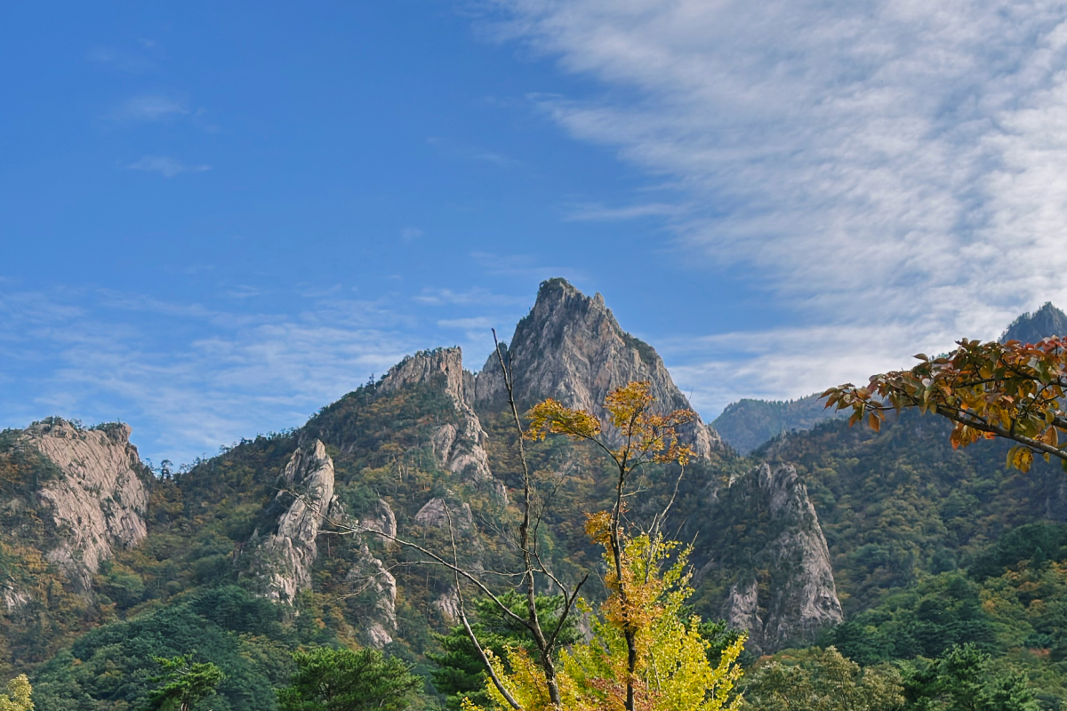 This Year We're Serious: Local Governments Double Down on Tourism
